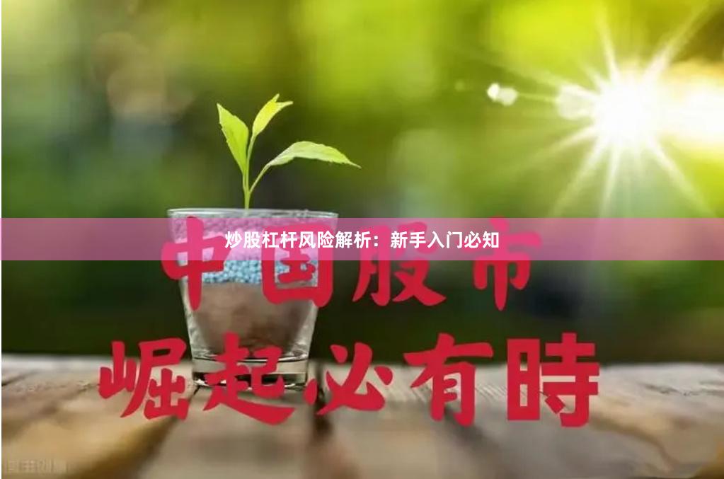 炒股杠杆风险解析：新手入门必知